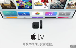 get_img?key=695cf60e9ed2ff4c0ca15f03