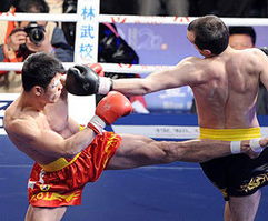 get_img?key=695cf6259ed2ff4c0ca160c9