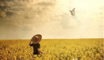 get_img?key=695cf6769ed2ff4c0ca165bc