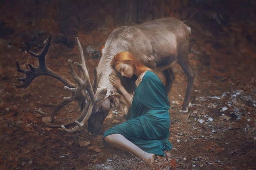 get_img?key=695cf6779ed2ff4c0ca165cf