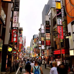 get_img?key=695cf6f49ed2ff4c0ca16de4