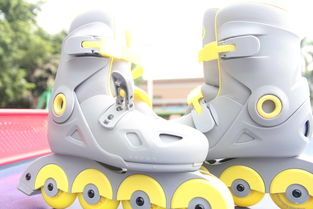 get_img?key=695cf73a9ed2ff4c0ca172e2