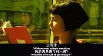 get_img?key=695cf7b79ed2ff4c0ca17ac1