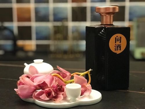 get_img?key=695cf8929ed2ff4c0ca18814