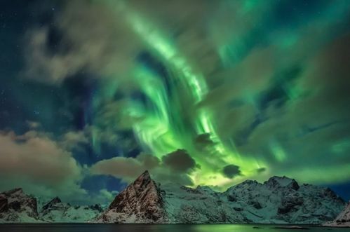 get_img?key=695cf9cf9ed2ff4c0ca19a05