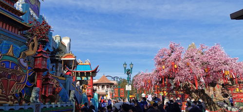 get_img?key=695cfa069ed2ff4c0ca19d34