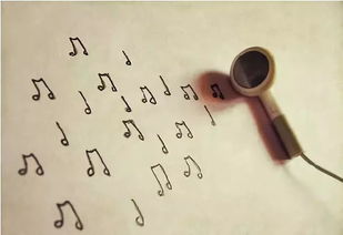 get_img?key=695cfbf49ed2ff4c0ca1b8f9