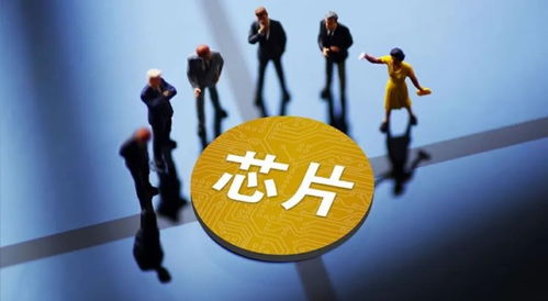 get_img?key=695cfd359ed2ff4c0ca1c9cb