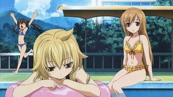 get_img?key=695cfd7e9ed2ff4c0ca1ce28