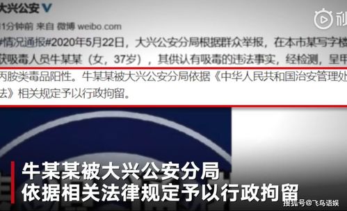 期货直播王鑫铭直播间:如何抓住市场机会提升交易水平?-呆呆铺，股市王鑫