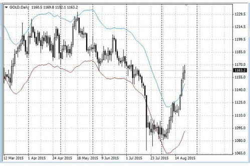 【道富期货直播间】今日期货交易直播间：A