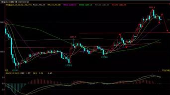 22小时不打烊的“暴富”入场券：从国际期货直播间到A股明日风口的财富跨界复利