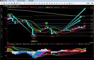 【天天财经期货直播室】今日期货直播间在线直播：黄金原油期货直播间，A股指数实况。