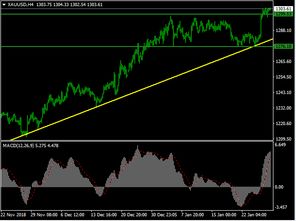如何利用黄金市场的资金流向分析